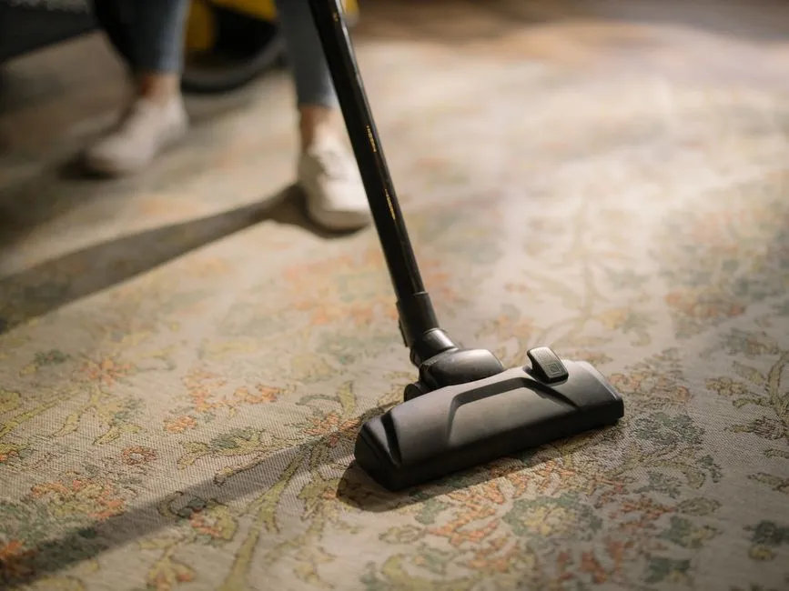 Rug cleaning service deep cleaning a patterned area rug in a Ballarat home
